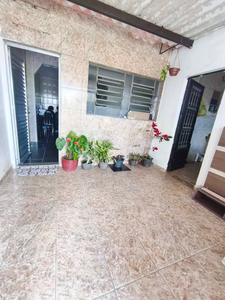 Imagem 5