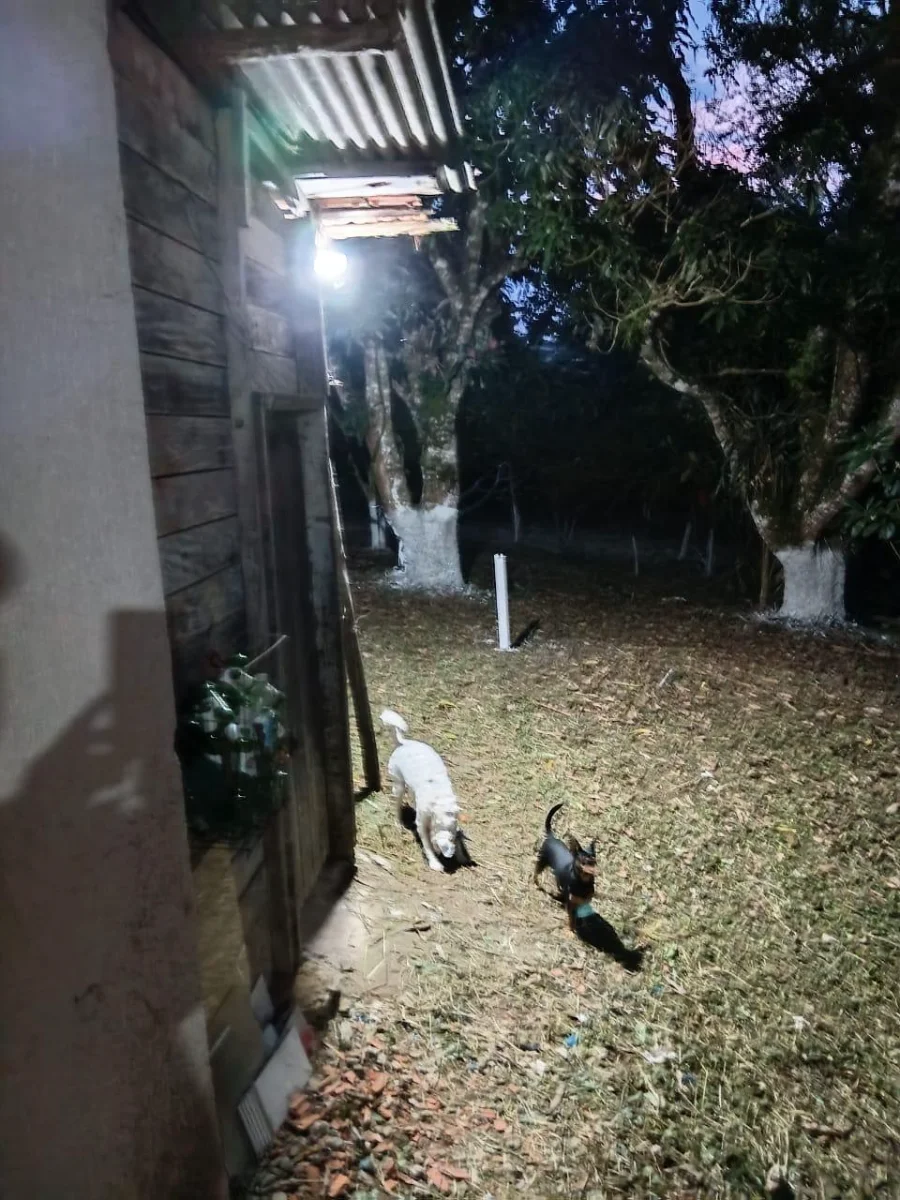 Imagem 4