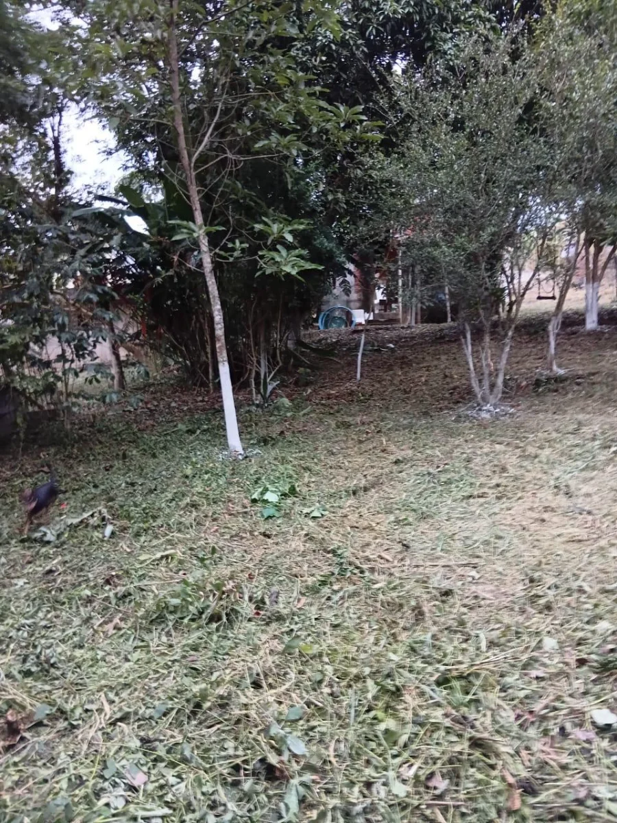 Imagem 3