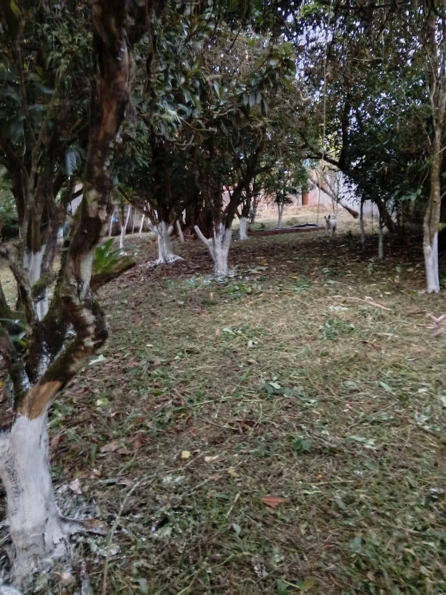 Imagem 2