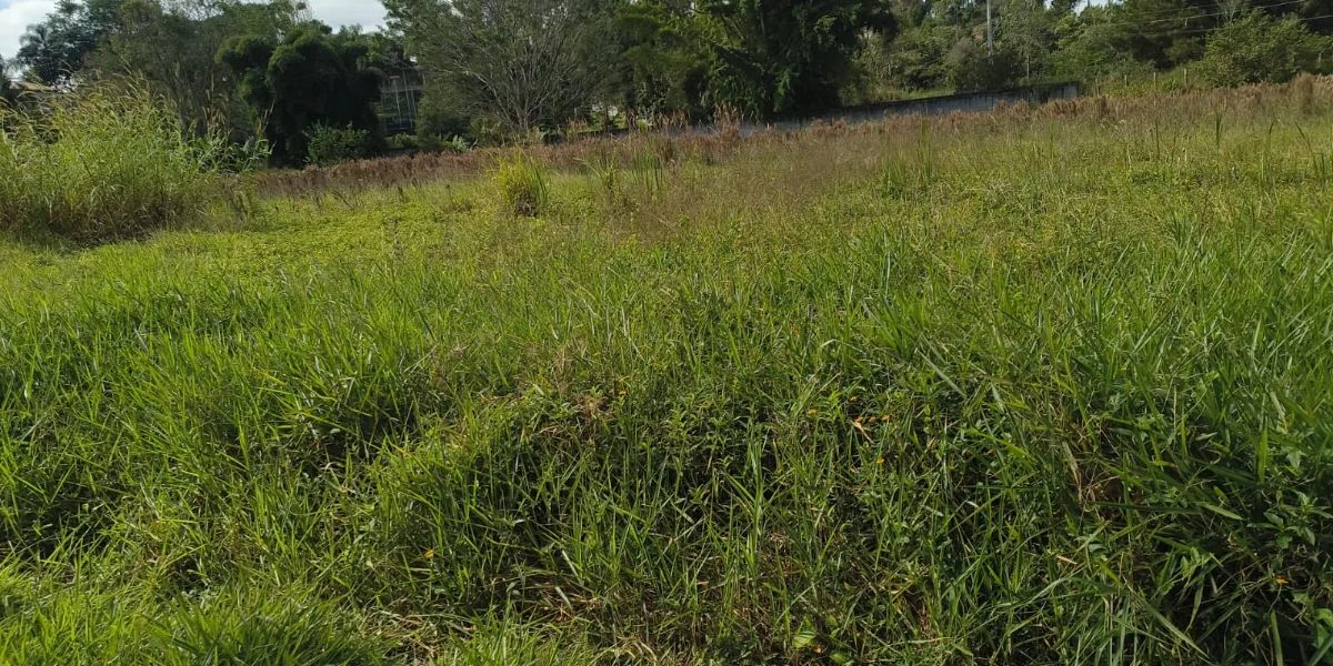 Terreno Biritiba Mirim  · Biritiba Mirim/SP