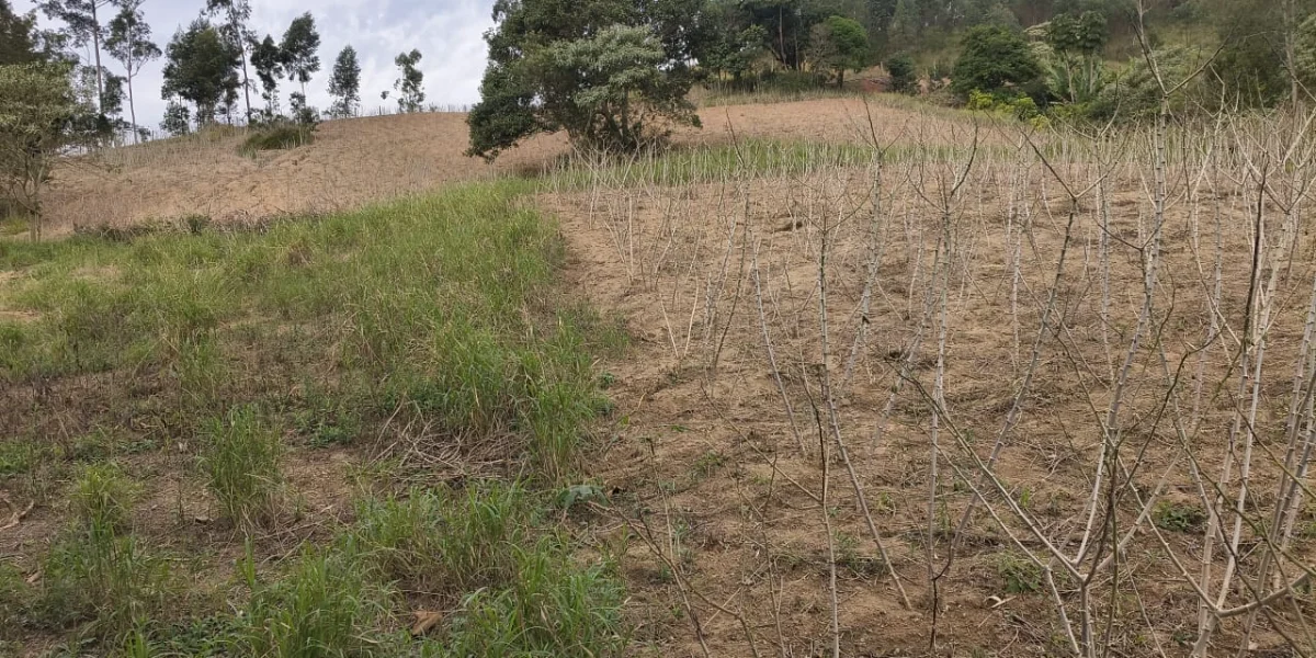 Terreno em Biritiba Mirim  · Biritiba Mirim/SP