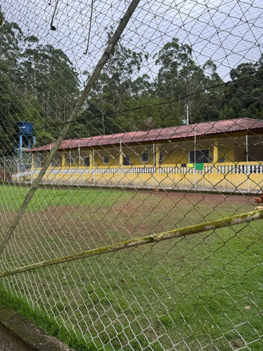 Imagem 11