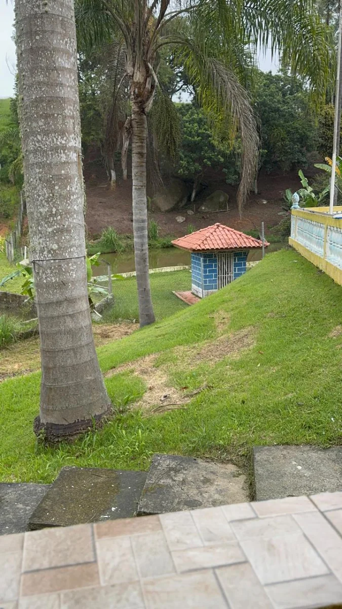 Imagem 26